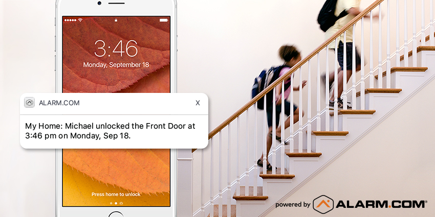 choosing security system alert.jpg