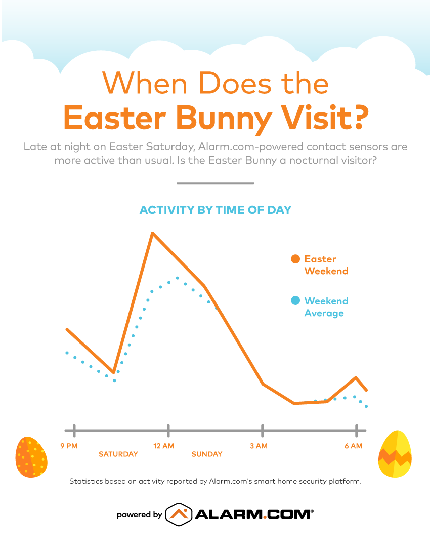 Easter Bunny Activity Infographic